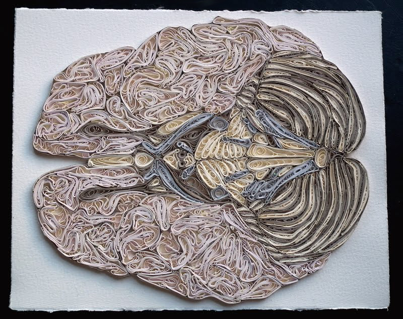 Illustration for article titled This beautiful anatomical art is made of paper, not flesh and bone